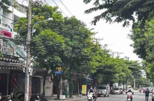 tin đăng mua bán nhà đất tháng 8/2025 - 5142151